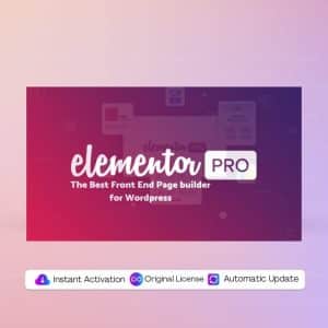 elementor pro license